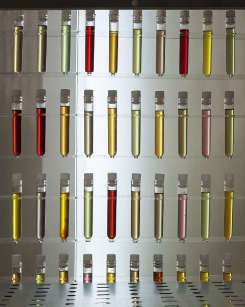 Les tendances parfum de l'année