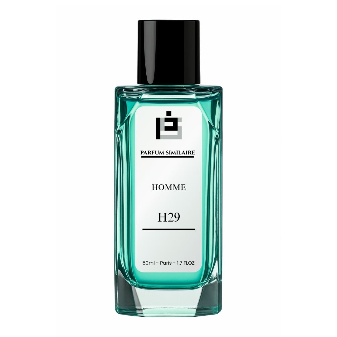 PARFUM - H29 | SIMILAIRE À LE MALE